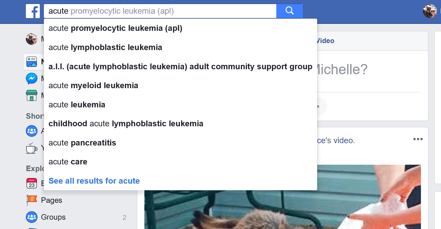 facebook search